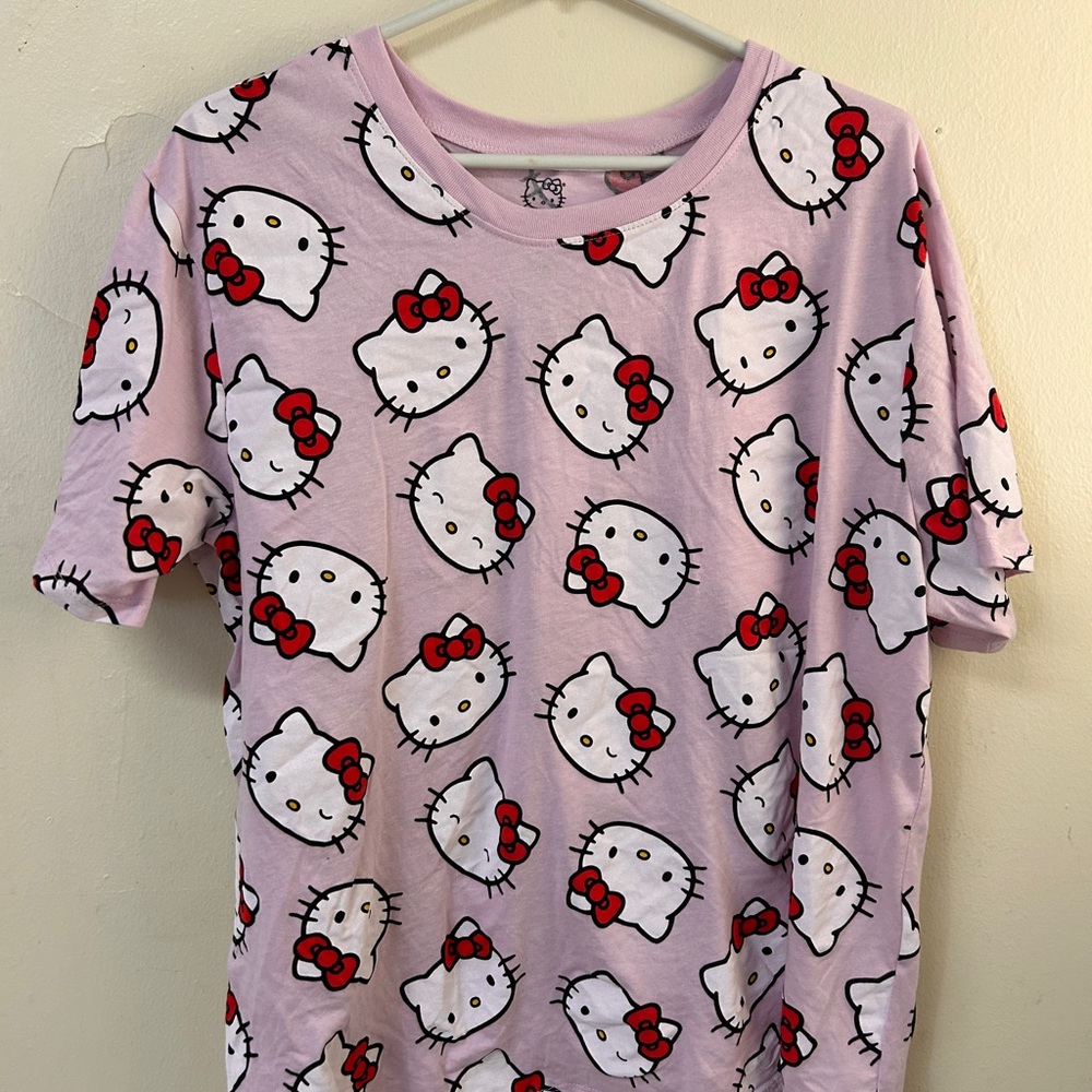 Women’s Hybrid Apparel Hello Kitty‎ Pink Graphic Tee size 2X